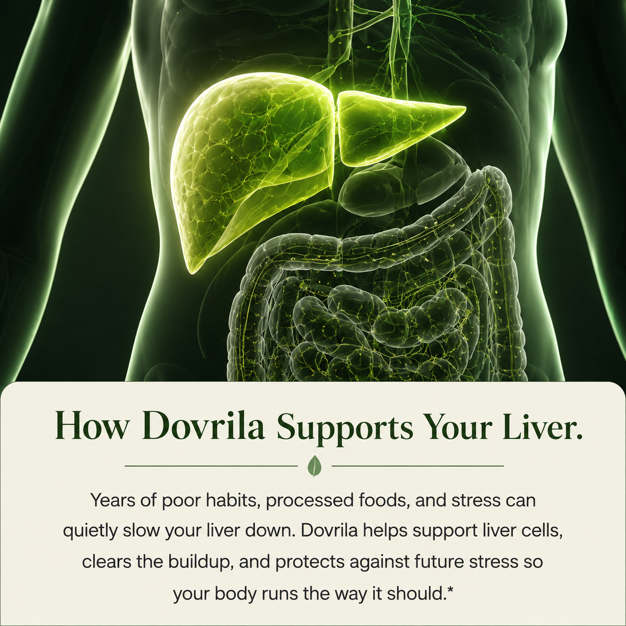 Milk Thistle Support