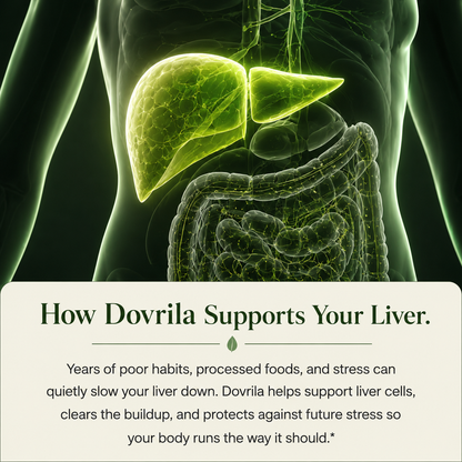 Milk Thistle Support